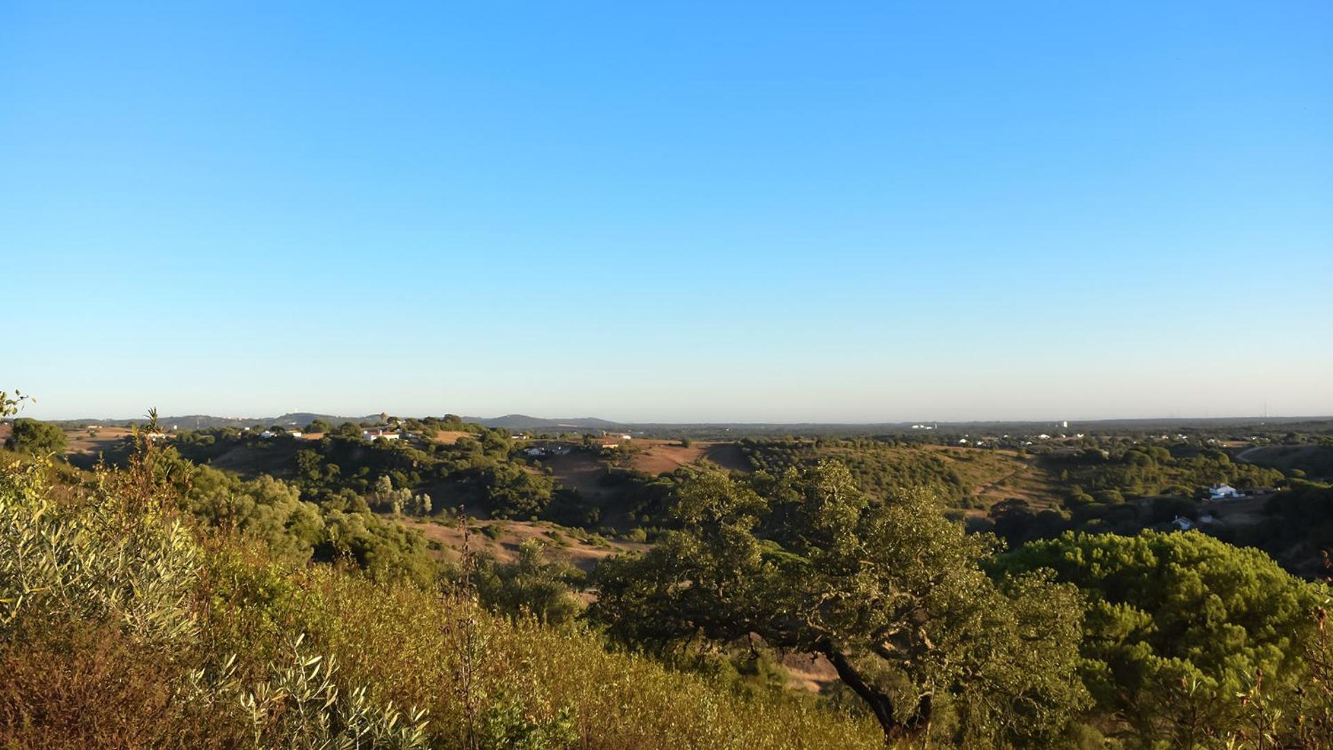 בית הארחה Santiago do Cacém 	Monte Sardinha מראה חיצוני תמונה