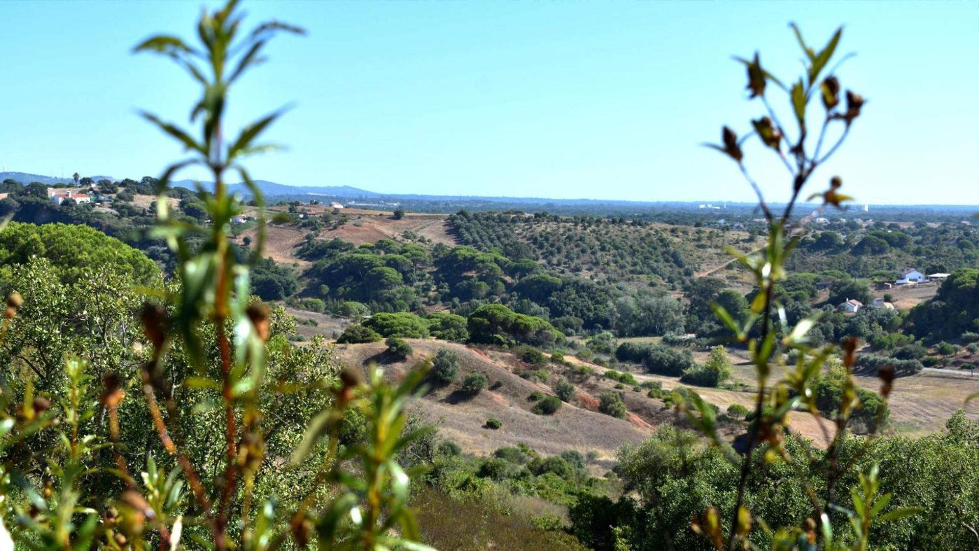 בית הארחה Santiago do Cacém 	Monte Sardinha מראה חיצוני תמונה