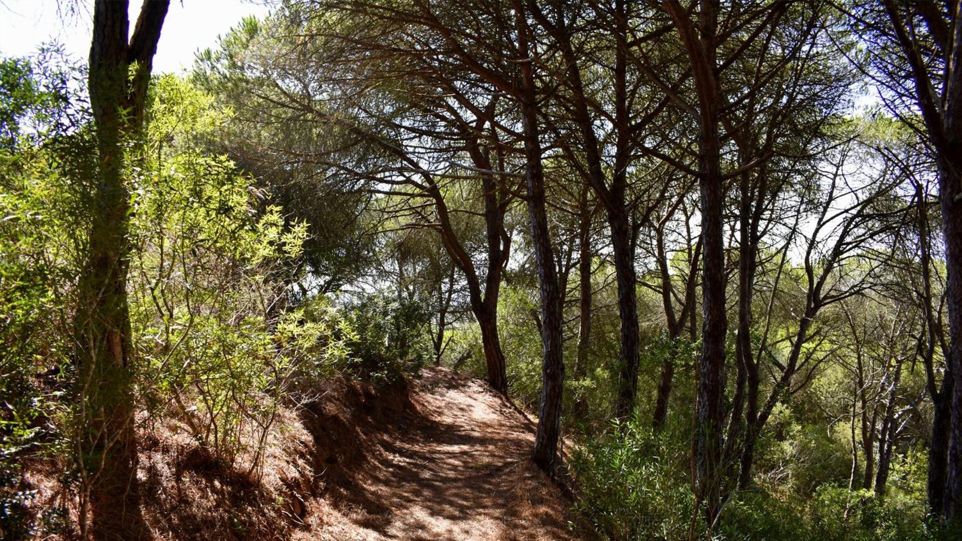 בית הארחה Santiago do Cacém 	Monte Sardinha מראה חיצוני תמונה